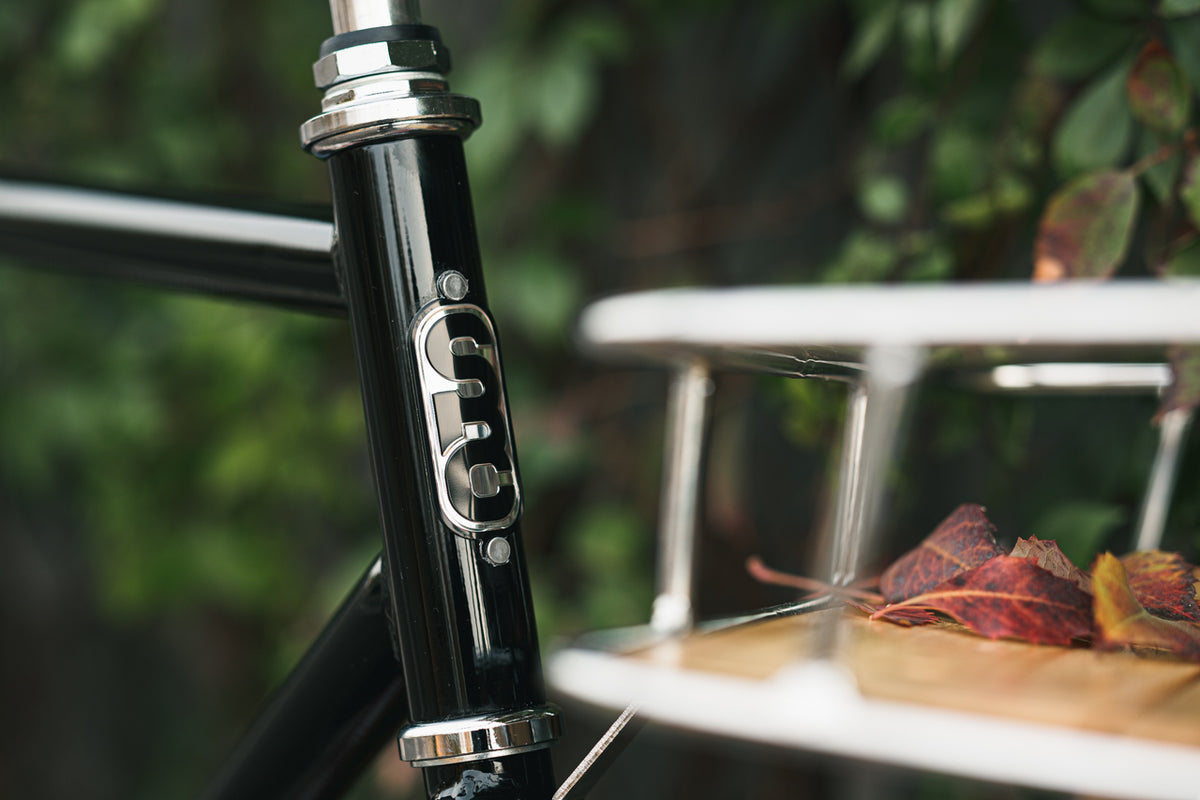 City Bike - The Black & Tan (3 Speed)
