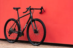 4130 All-Road - Alpine Bloom (12 Speed / UDH)