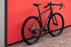4130 All-Road - Alpine Bloom (12 Speed / UDH)