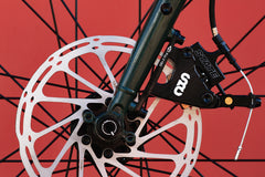 4130 All-Road - Alpine Bloom (12 Speed / UDH)