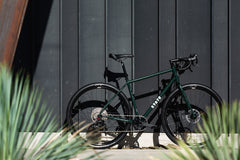 4130 All-Road - Alpine Bloom (12 Speed / UDH)