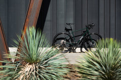 4130 All-Road - Alpine Bloom (12 Speed / UDH)