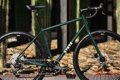 4130 All-Road - Alpine Bloom (12 Speed / UDH)