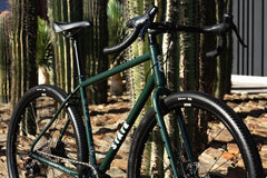 4130 All-Road - Alpine Bloom (12 Speed / UDH)