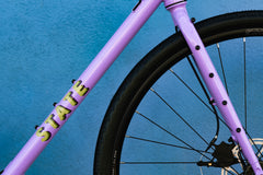 4130 All-Road - Arroyo Lilac (12 Speed / UDH)