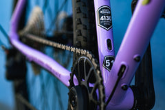 4130 All-Road - Arroyo Lilac (12 Speed / UDH)