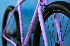 4130 All-Road - Arroyo Lilac (12 Speed / UDH)