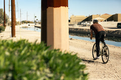 4130 All-Road - Dromedary Tan (12 Speed / UDH)