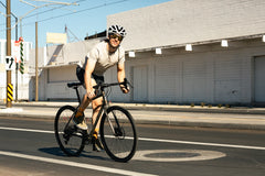 4130 All-Road - Raw Phosphate (12 Speed / UDH)