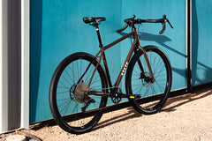 4130 All-Road - Root Beer (12 Speed / UDH)