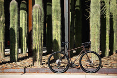 4130 All-Road - Root Beer (12 Speed / UDH)