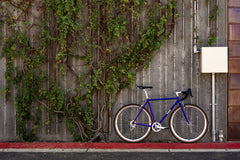 4130 Road v2 - Sapphire & Chrome - (8-Speed)