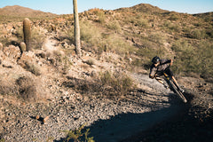 4130 Trail - Mountain Bike - Patina Gold