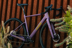 Carbon All-Road v2 - Dusty Merlot
