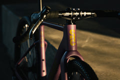 Carbon All-Road v2 - Dusty Merlot