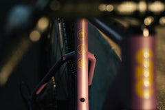 Carbon All-Road v2 - Dusty Merlot