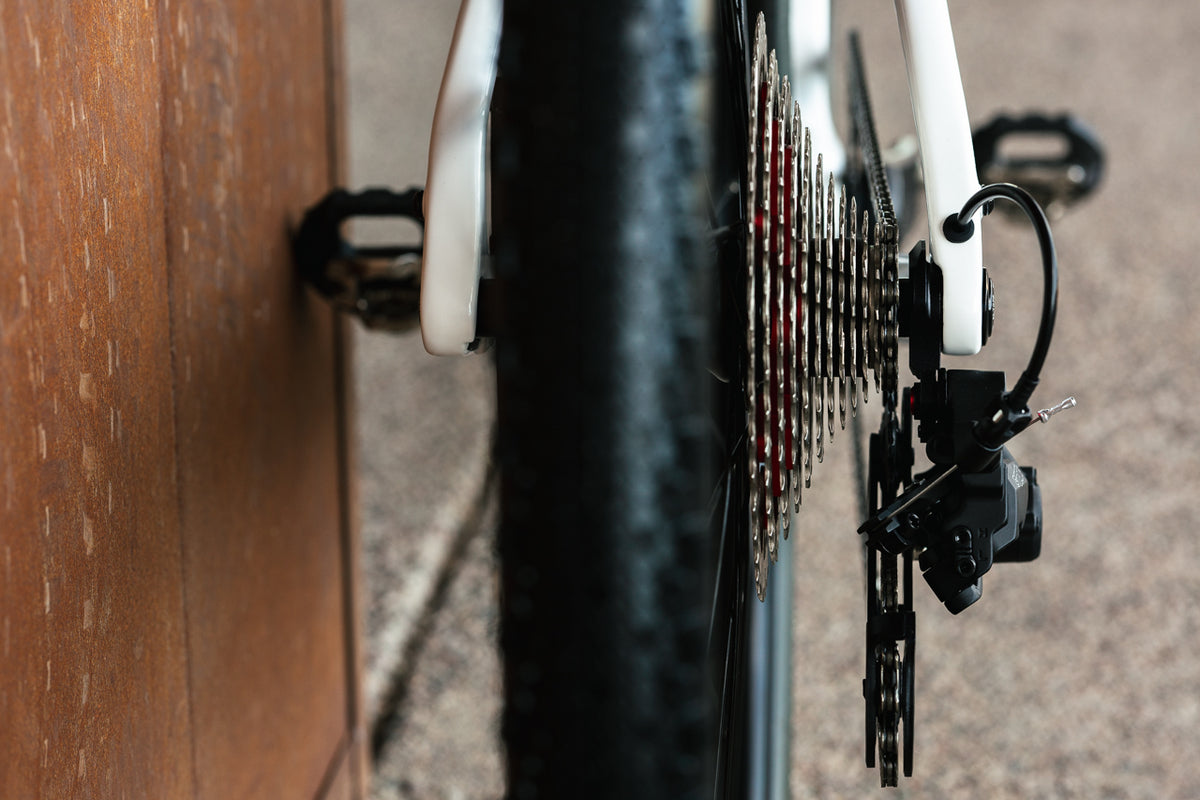Carbon All-Road v2 - Team Edition