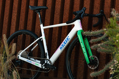 Carbon All-Road v2 - Team Edition