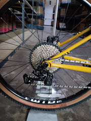 #1592 – 4130 Hardtail MTB | Pantia Gold / 29er (Size XS/S, Like-New / Pre-Production Sample)