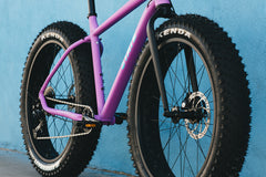 6061 Trail+ Fat Bike - Wildberry