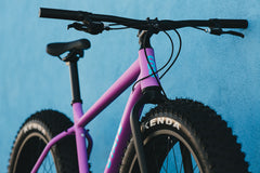 6061 Trail+ Fat Bike - Wildberry