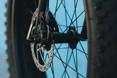 6061 Trail+ Fat Bike - Wildberry