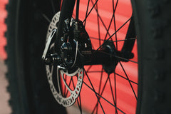 6061 Trail+ Fat Bike - Stone Grey