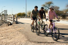 4130 All-Road - Raw Phosphate (12 Speed / UDH)