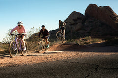 4130 All-Road - Arroyo Lilac (12 Speed / UDH)