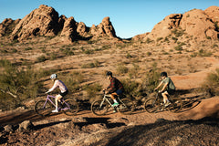 4130 All-Road - Raw Phosphate (12 Speed / UDH)