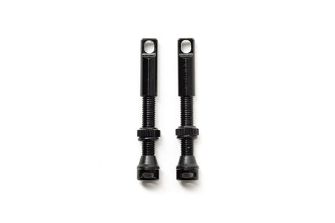 Tubeless Valves (Pair) w/ Valve Core Remover