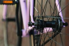 Core-Line - Lavender Haze