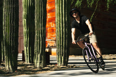 Core-Line - Lavender Haze