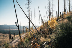 6061 Black Label All-Road - Copper Brown (650b / 700c)