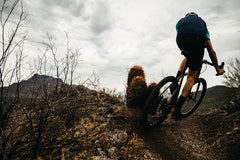 4130 All-Road - Copper Brown (650b / 700c)